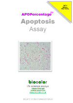 Apopercentage Apoptosis Assay Manual